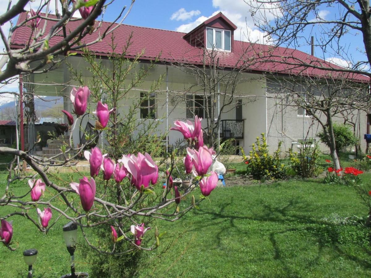 Guest House Melissa Duisi エクステリア 写真